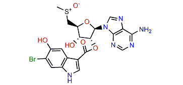 Epi-momusine B